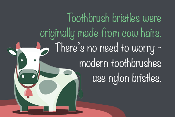 A cartoon cow to illustrate a fun fact about toothbrushes is that bristles were originally made from cow hairs but modern toothbrushes are mad from nylon