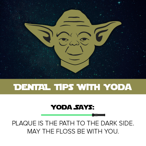Dental Tips with Yoda from your Seattle Dental experts